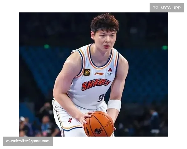 上海久事外援组合攻防兼备 王哲林李添荣本土双核稳定